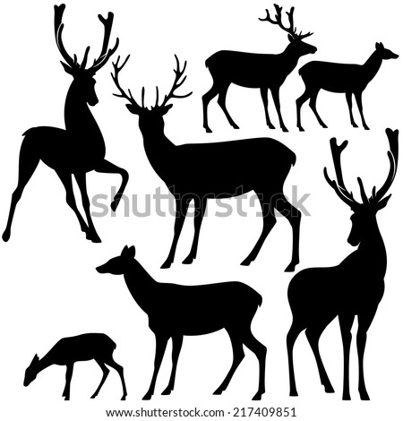 deer black and white silhouette set - vector collection of wild animals detailed outlines
