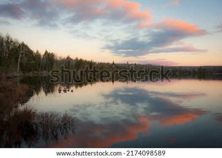 Trees on the shore of peaceful Michigan lake with pink and grey clouds at sunset Royalty-Free Stock Photo #2174098589