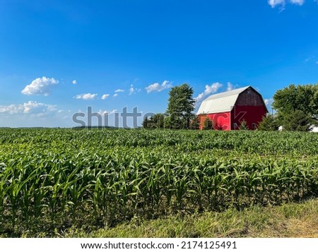 A corn field and red barn with blue sky with clouds.