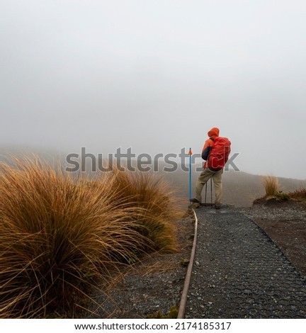 Hiking Tama Lakes track in thick fog and rain, among golden and red tussocks. Tongariro National Park.  Vertical format. 