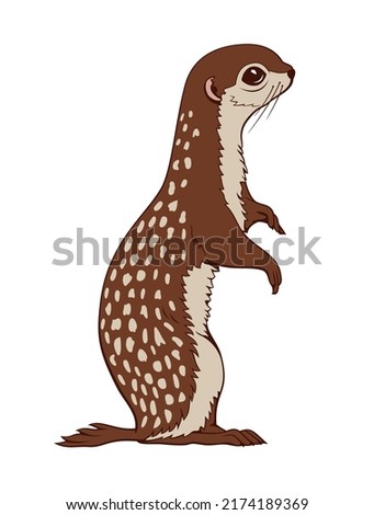 Ground Squirrel. Vector clipart isolited on white.
