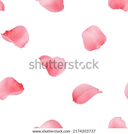Rose petal isolated on white background, SEAMLESS, PATTERN Royalty-Free Stock Photo #2174203737