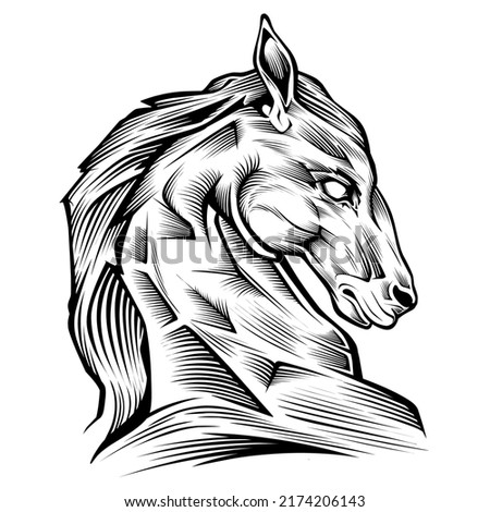 Horse head vector silhouette . horse head illustration . horse line art vector eps