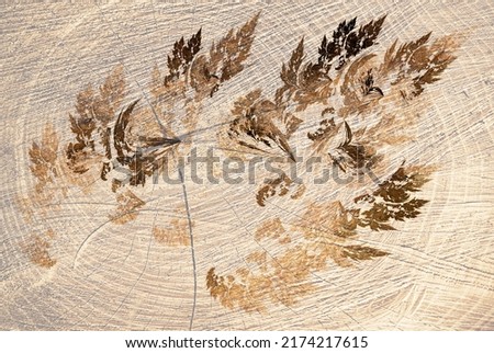 wood texture, ceramic tiles, grung wood,motif, wall tiles, wood background 