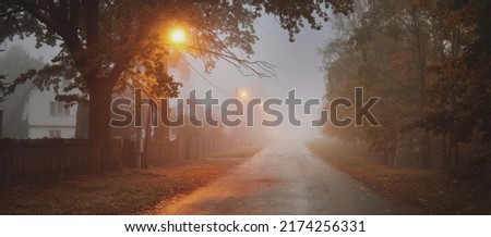 An empty illuminated country asphalt road through the trees and village in a fog on a rainy autumn day, street lanterns close-up, red light. Road trip, transportation, communications, driving