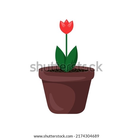 Flower in pot vector object element decoration illustration collection 