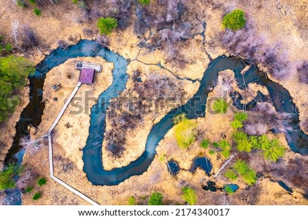 Aerial View Green Forest Woods And River Landscape In Sunny Spring Day. Top View Of Nature In Springtime Season. Birds Eye View. Beautiful spring landscape.