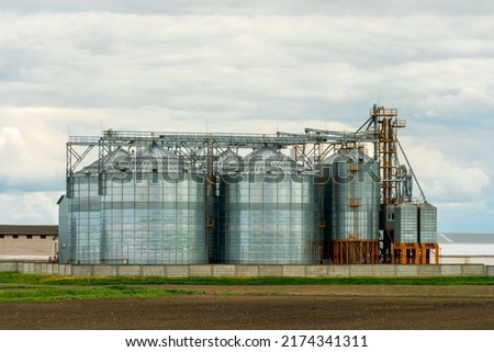 next to the plowed agricultural field installed silver silos on agro manufacturing plant for processing drying cleaning and storage of agricultural products, flour, cereals and grain. Granary elevator