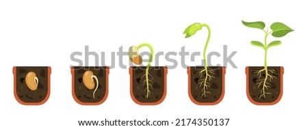 Germination seed in flower pot. Sprout in soil. Vector illustration beginning growth flowers. Royalty-Free Stock Photo #2174350137