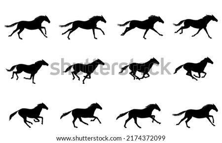 Galloping horse or mustang. Horse running silhouette cycle. Key positions of pony running set. Loop equine gallop motion. Isolated vector hand drawn animation cartoon poses. Equestrian collection Royalty-Free Stock Photo #2174372099