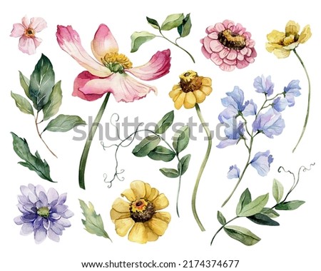 Collection of watercolors with a of flowers and leaves in candy shades. Illustration with garden flowers in a romantic mood.
