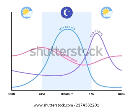Circadian rhythm infographic poster. Melatonin and cortisol are produced in human brain. Colorful diagram of circadian cycle. Night day life balance. Sleep wake cycle chart flat vector illustration. Royalty-Free Stock Photo #2174382201