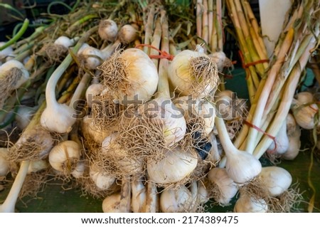 Fresh Garlics For Sale at a Road Side Farmer's Market