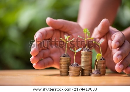 man hand protect the growing stack of coins with plant growing on money . finance and accounting concept