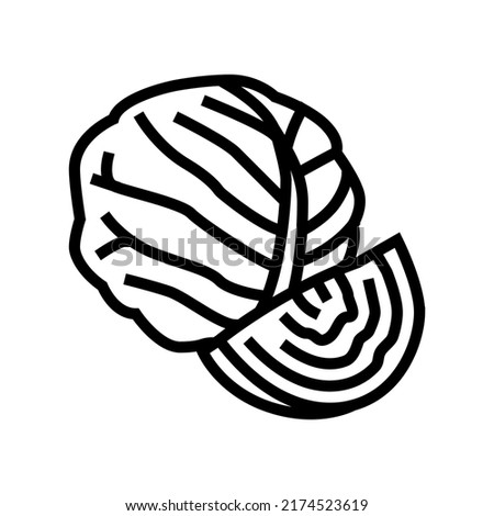cabbage healthy vegetable line icon vector. cabbage healthy vegetable sign. isolated contour symbol black illustration