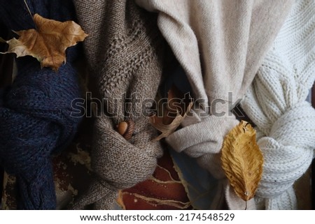
Fall and winter sweaters. Warm clothes among autumn leaves. Wool, cashmere, angora, natural yarns. White, brown and blue cardigan