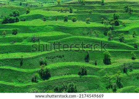mountain landscape with green agricultural terraces on the slopes Royalty-Free Stock Photo #2174549669