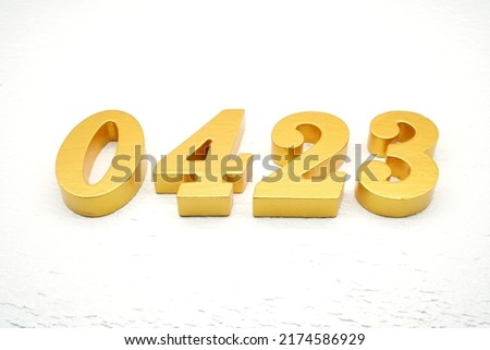   Number 0423 is made of gold-plated teak, 1 cm thick, laid on a white painted aerated brick floor, giving good 3D visibility.                                