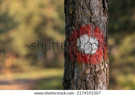 Hiking trail road with red and white circular mark on tree bark with blurry background