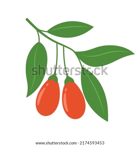 Red goji berry branch isolated on white background. Chinese wolfberry, lycium barbarum or lycium chinense. Vector fruit illustration in flat style. Royalty-Free Stock Photo #2174593453