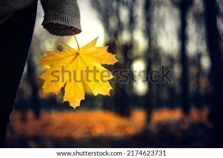 Loneliness in the evening autumn park, parting and seasonal depression. Royalty-Free Stock Photo #2174623731