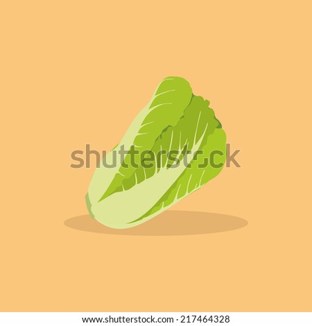 Abstract Lettuce on a light orange background