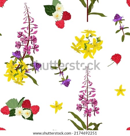 Forest vector seamless pattern in the kind of flowers. Lilac and purple flowers of the sage, tutsan and raspberry on a white background . For decoration textile, packaging. Royalty-Free Stock Photo #2174692251