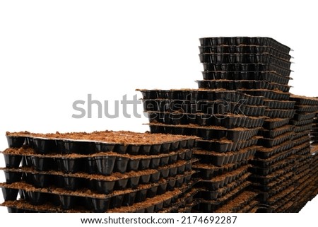 Stack of seedling trays with coco peat on white background  Royalty-Free Stock Photo #2174692287