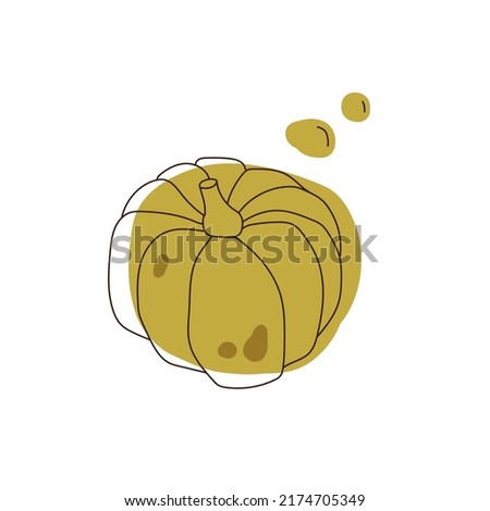 Pumpkin doodle art. Autumn vegetable. Green pumpkin with dark line illustration on white background.