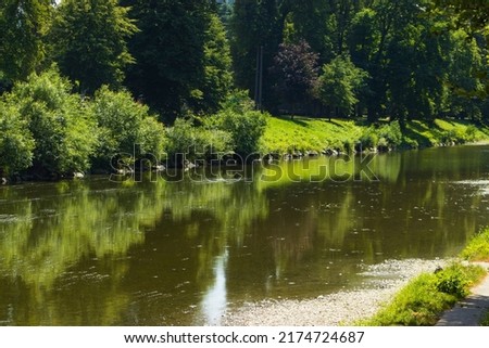 Photos of nature around the river. River arm. The beautiful nature of the Czech Republic. Trees, greenery. grass. Sunny day. Summer, holidays, travel and trips.