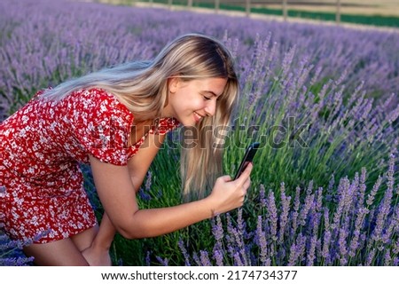 Beautiful blonde woman taking pictures outdoors in a picturesque lavender field. 