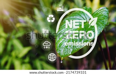 concept of carbon neutral and net zero emissions. natural environment A climate-neutral long-term strategy greenhouse gas emissions targets with green net center icon on leaf and green background.     Royalty-Free Stock Photo #2174739331