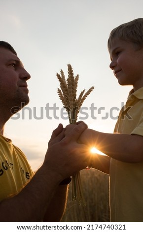 Silhouettes of mans face and child holding bouquet of spikelets in hands against backdrop of setting sun. Grain harvest in Ukraine. Earth Day concept, eco education, environmental awareness