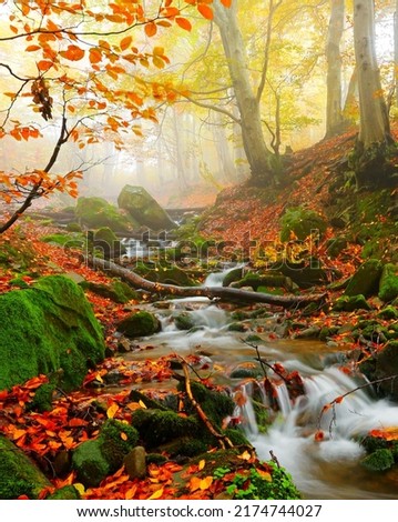 amazing autumn landscape in the mountains, vertical autumn scenery, Ukraine, Europe, Carpathian mountains Royalty-Free Stock Photo #2174744027