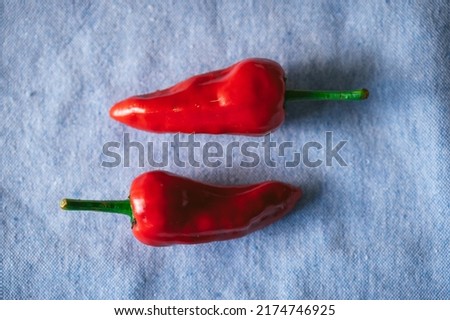 Red peppers on a blue cloth background. Pimientos del padrón