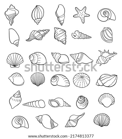 set of seashells drawing outline symbols. shells collection isolated. vector illustration Royalty-Free Stock Photo #2174813377