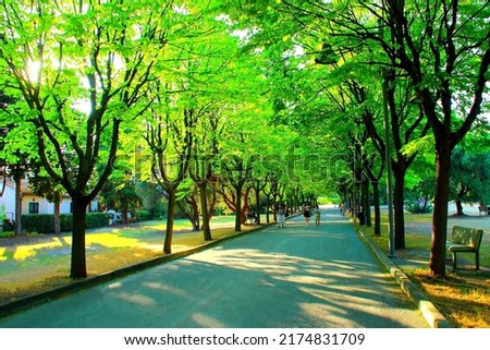 Empyrean scenery from Parco della Repubblica in Sirolo with a wide paved road strolled by different people and rows of splendid green trees on both sides, occasional stone benches, meadows and a hedge Royalty-Free Stock Photo #2174831709