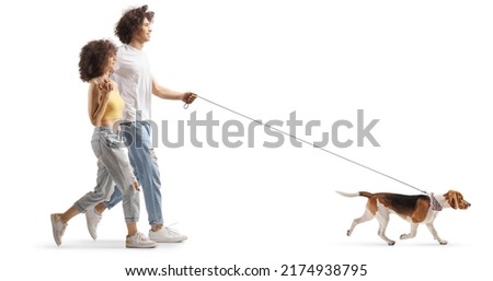 Full length profile shot of a boyfriend and girlfriend walking a beagle dog isolated on white background