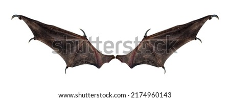 bat wings isolated on white. Royalty-Free Stock Photo #2174960143