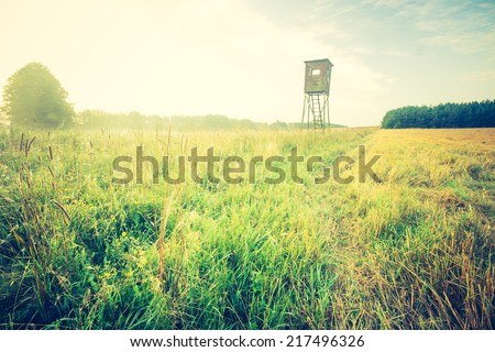 vintage photo of morning meadow with raised hide