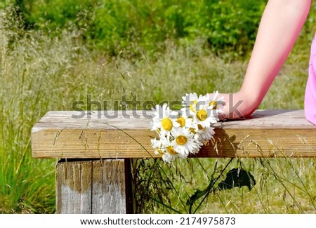 Bouquet of a field daisies on a wooden bench. 