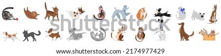 Cute dogs and cats poses set vector illustration. Cartoon portrait of playful pets with funny faces, tail and fur, adorable puppy and kitten playing with toy, sitting in box, running isolated on white