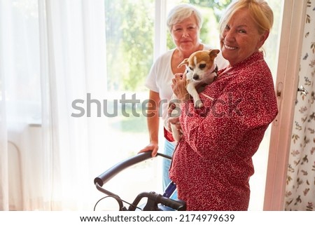 Happy elderly woman with a small dog as a pet and care service woman in retirement home