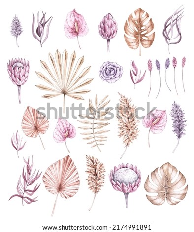 Watercolor boho set of tropical plants in pastel shades for wedding products, fabrics, postcards, invitations, etc. Exotic plants.