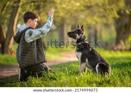 boy with a dog walks in the park on a sunny spring evening, sits on the grass, the dog obeys the order give a paw. Friendship of man and animal, healthy lifestyle. Royalty-Free Stock Photo #2174994073
