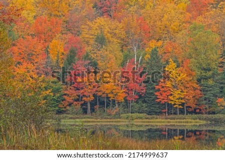 Autumn landscape of the shoreline of Doe Lake with reflections in calm water, Hiawatha National Forest, Michigan's Upper Peninsula, USA