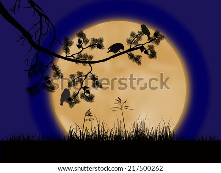 illustration with birds on pine tree branch under full moon