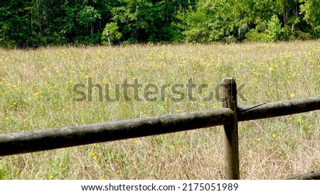          Fence post around a field of beautiful wildflowers                      