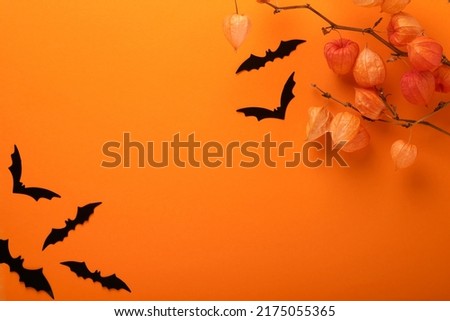 Orange Halloween background. Flock of black bats and branch of dry orange flowersfor Halloween. Black paper bat silhouettes on orange background. Autumn decoration. Halloween concept. Top view.