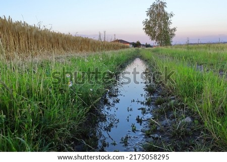 A puddle of water on a dirt road. Soil soaked with water after continuous rains. Flooded field road. Landscape after the rain.